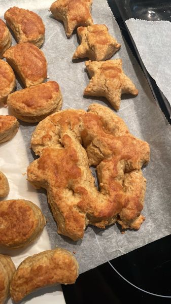 File:Trans*clusion Biscu-ssy.jpg